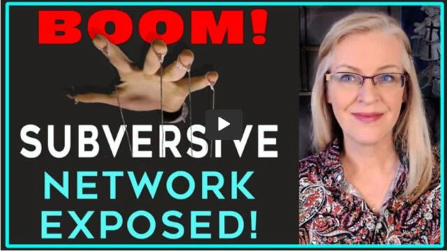 Amazing Polly  MEGA BOOM Schwabs Global Shapers Network Exposed