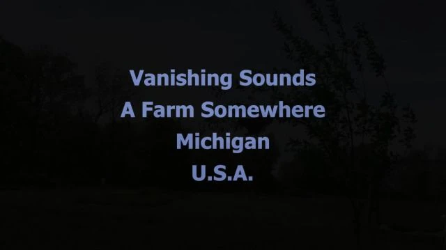 Vanishing Sounds