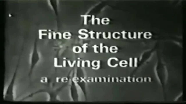 ⁣DR HAROLD HILLMAN ON THE FINE STRUCTURE OF THE LIVING CELL - 1977