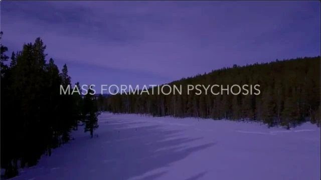 Prof Mattias Desmet | Mass Formation Psychosis