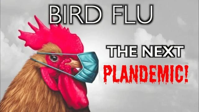 ⁣Bird Flu: The NEXT Plandemic! #RESIST #MEDICALTYRANNY