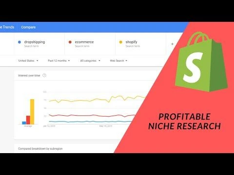 Shopify Tutorial:  How To Identify Profitable  Product  Niches To Increase Revenue