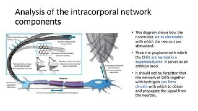 Intracorporal network (created by vaccine artifacts and graphene) brief summary