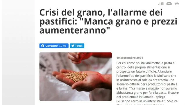 Crisi del grano: manca grano e i prezzi aumentano!