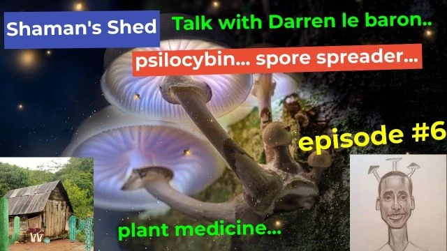 # 6 Talk with Darren le Baron | psilocybin spirituality sustainable living and more