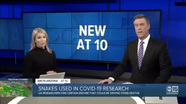 COVID19 and SNAKE connection has gone Maintream Media