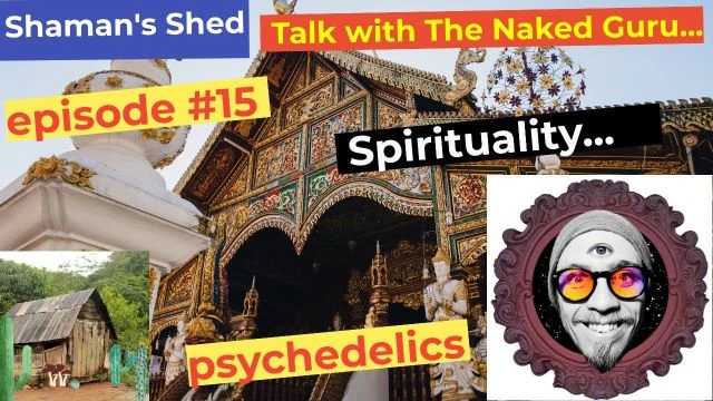 #15 Talk with The Naked Guru | psychedelics | Vedanta | Jungian Psychology | LSD benefits and more