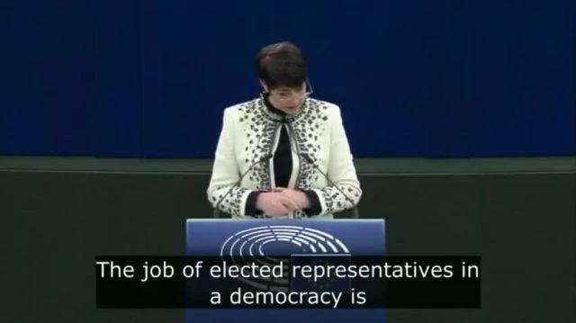 Christine Anderson Smacks EU With a Reminder on What Democracy Is All About