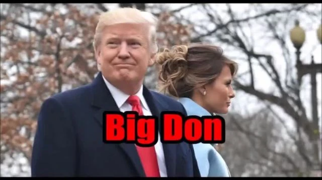 Big Bad Don - The Battle Song of Qanon