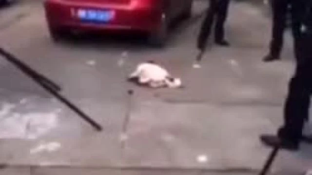 Warning！ The video is extremely cruel !）  In Communist China they are doing this every day  They think killi