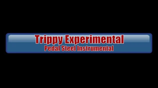 TEPSI (Trippy Experimental Pedal Steel Instrumental)