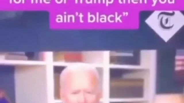 Biden the racist pedophile!