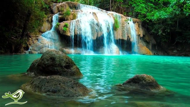 Relaxing Zen Music with Water Sounds • Peaceful Ambience for Spa Yoga and Relaxation