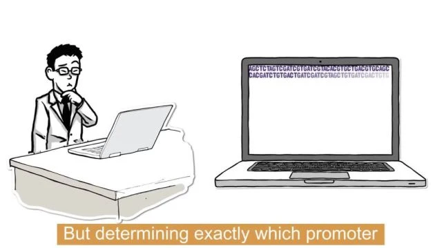 Introduction to the LightSwitch Luciferase Reporter Assay System