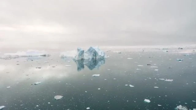 Nature - Antarctica