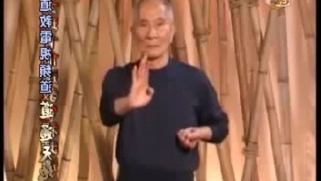 SIU LIM TAO: IP CHUN