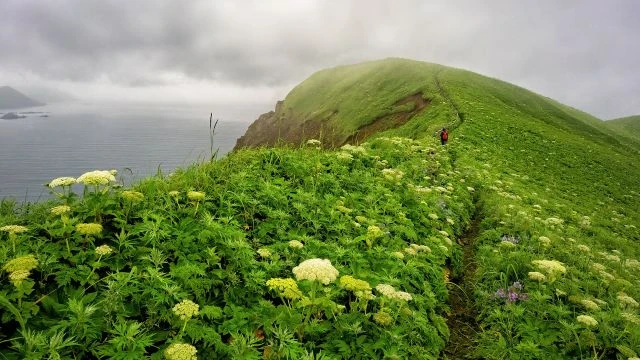 Nature - Unbound