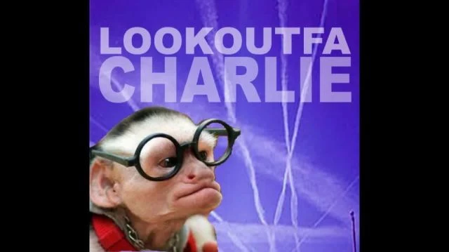 21st Century Surveillance Systems RF Weapons: Lookoutfa Charlie