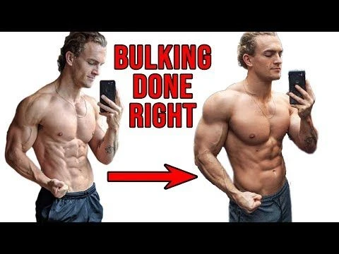 HOW TO SET UP THE PERFECT BULK (step by step)