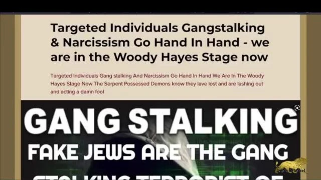 Targeted Individuals Gangstalking & Narcissism Go Hand In Hand - we are in the Woody Hayes Stage now