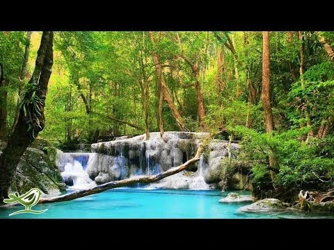 Relaxing Zen Music with Water Sounds • Relax Sleep Spa Yoga Meditation