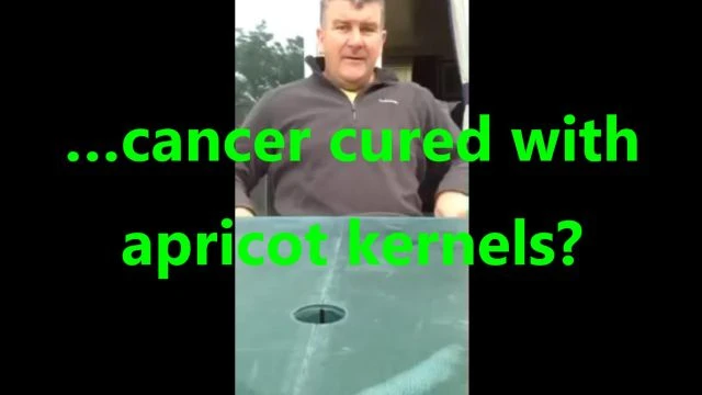 …cancer cured with apricot kernels?