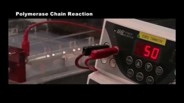 Polymerase Chain Reaction - Dr Kary Mullis