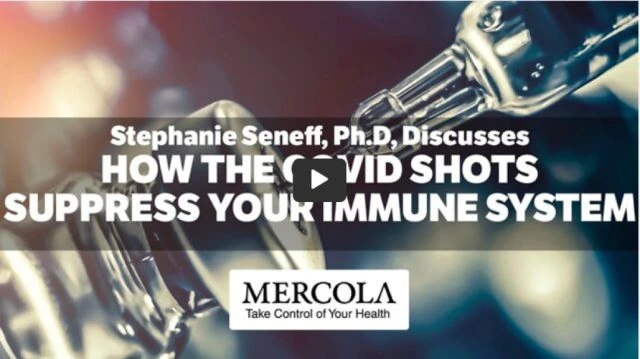 Stephanie Seneff PhD | How C-19 Shots Suppress Your Immune System | Mercola