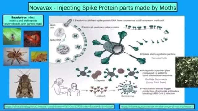 UK APPROVES ITS 5th COVID VACCINE NOVAVAX