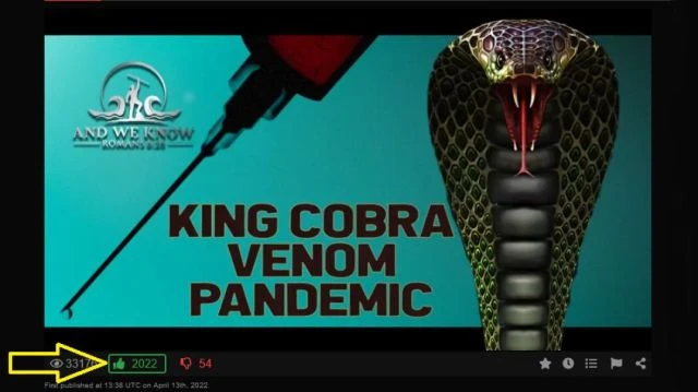 VENOM COBRAS Digital Warriors NYCmore EXPOSURE of the [DS} evil!