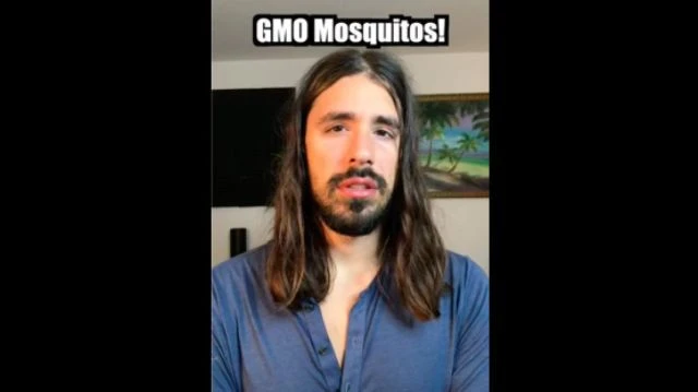 2 BILLION GMO Mosquitos Approved To Be Released By EPA In Florida & California!