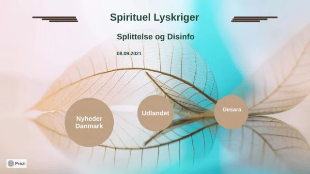 Splittelse og Disinfo