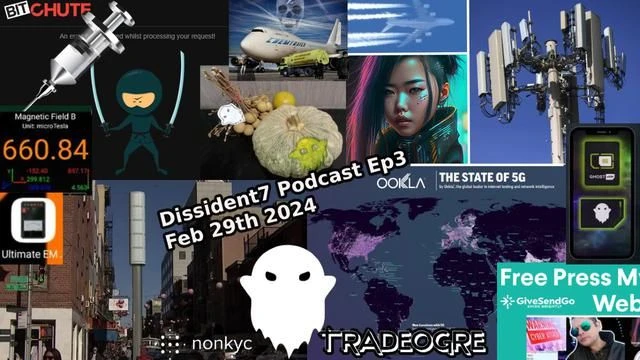 5G Directed Energy Vaxxed EMF Reader, Privacy Phone Ghost Crypto Currency - Dissident7 Podcast Ep3