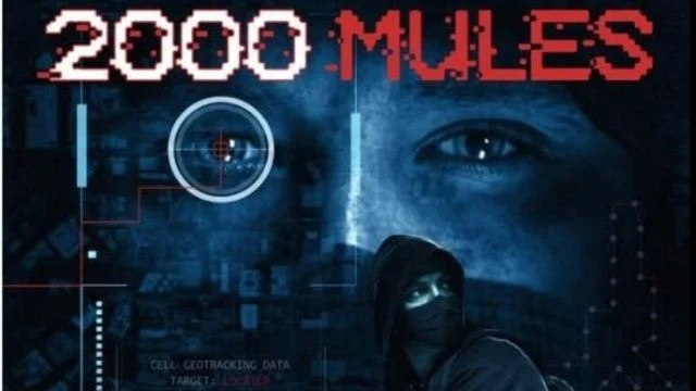 2000 Mules (Dinesh D’Souza 2020 Election Fraud Documentary)