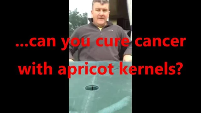 ...can you cure cancer with apricot kernels