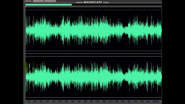 WOODSTOCK 1999 - TESTING 250,000 - ELF: Lookoutfa Charlie