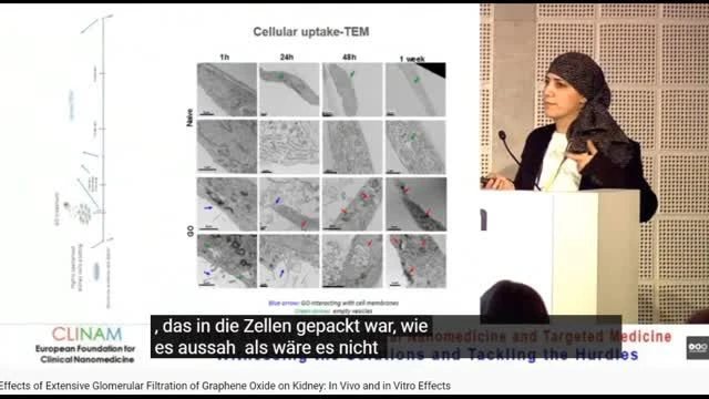 Graphen-Based-NanoParticles