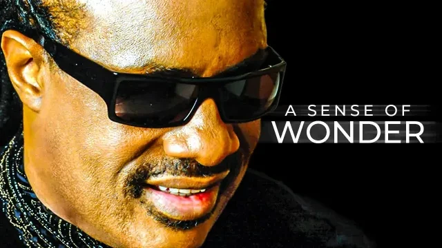 It Will Leave You Speechless - Stevie Wonder’s Unseen Truth