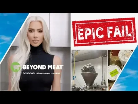 FAKE MEAT COMPANY FAILS / Hugo Talks