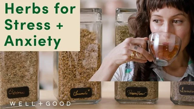 Common and Accessible Herbs for Stress and Anxiety | Plant-Based | Well+Good