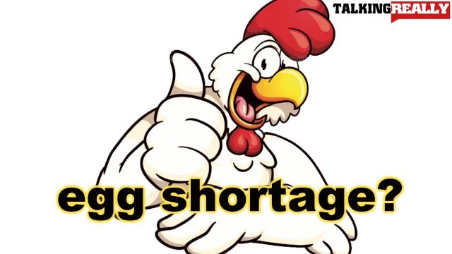 eggs shortage reason   is it a conspiracy?