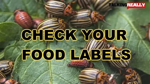 check your food labels!  | Talking Really Channel | Cricket Flour and more