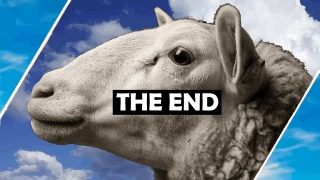 The End / Hugo Talks