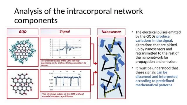 Intracorporal network (created by vaccine artifacts and graphene) brief summary