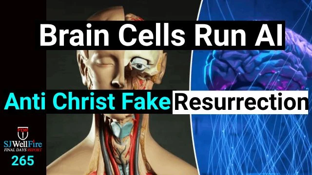 Brain Cells run AI - Fit Anti Christ Rule