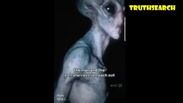 Grey Alien talking to a human in an undisclosed military base