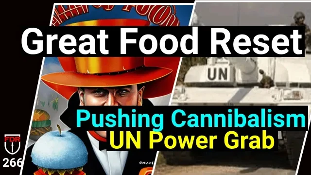 Food Reset and UN Power Grab