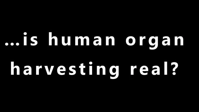 …is human organ harvesting real?
