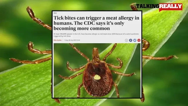 Tick Bite triggers meat allergy in humans | Talking Really Channel