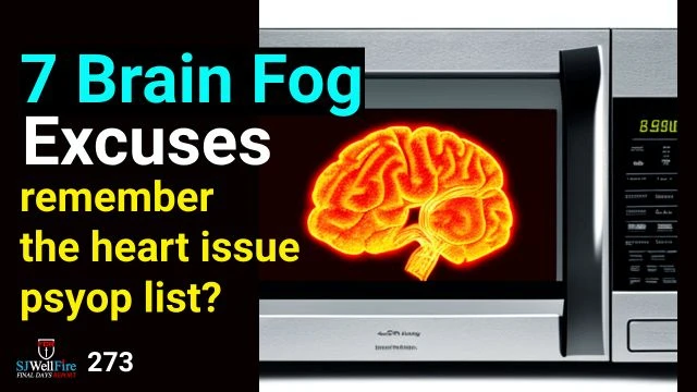 Brain FOG in the NeWs - What is the Cover UP?